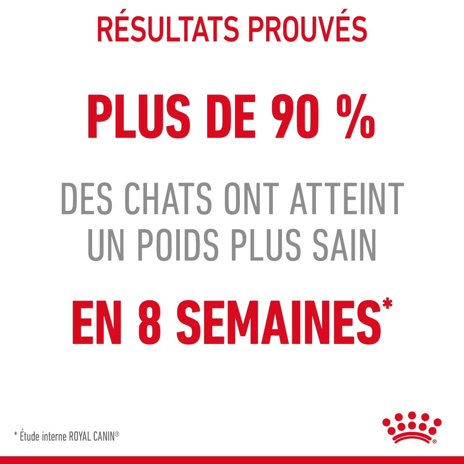Royal Canin Light Weight Care En Sauce Pour Chat 12 Sachets De 85g 15 Royal Canin Light Weight Care En Sauce Pour Chat 12 Sachets De 85g – Image 13