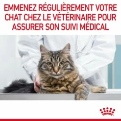 Royal Canin Light Weight Care Pour Chat 1,5kg -Promos VetoStore Boutique Royal Canin Light Weight Chat FR 11 2