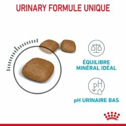 Royal Canin Urinary Care Pour Chat 10kg -Promos VetoStore Boutique Royal Canin Urinary Care Chat FR 05 2