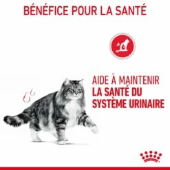 Royal Canin Urinary Care Pour Chat 10kg -Promos VetoStore Boutique Royal Canin Urinary Care Chat FR 07 2