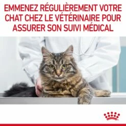 Royal Canin Urinary Care Pour Chat 10kg -Promos VetoStore Boutique Royal Canin Urinary Care Chat FR 11 2