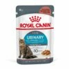 Royal Canin Urinary Care En Sauce Pour Chat 12 Sachets De 85g