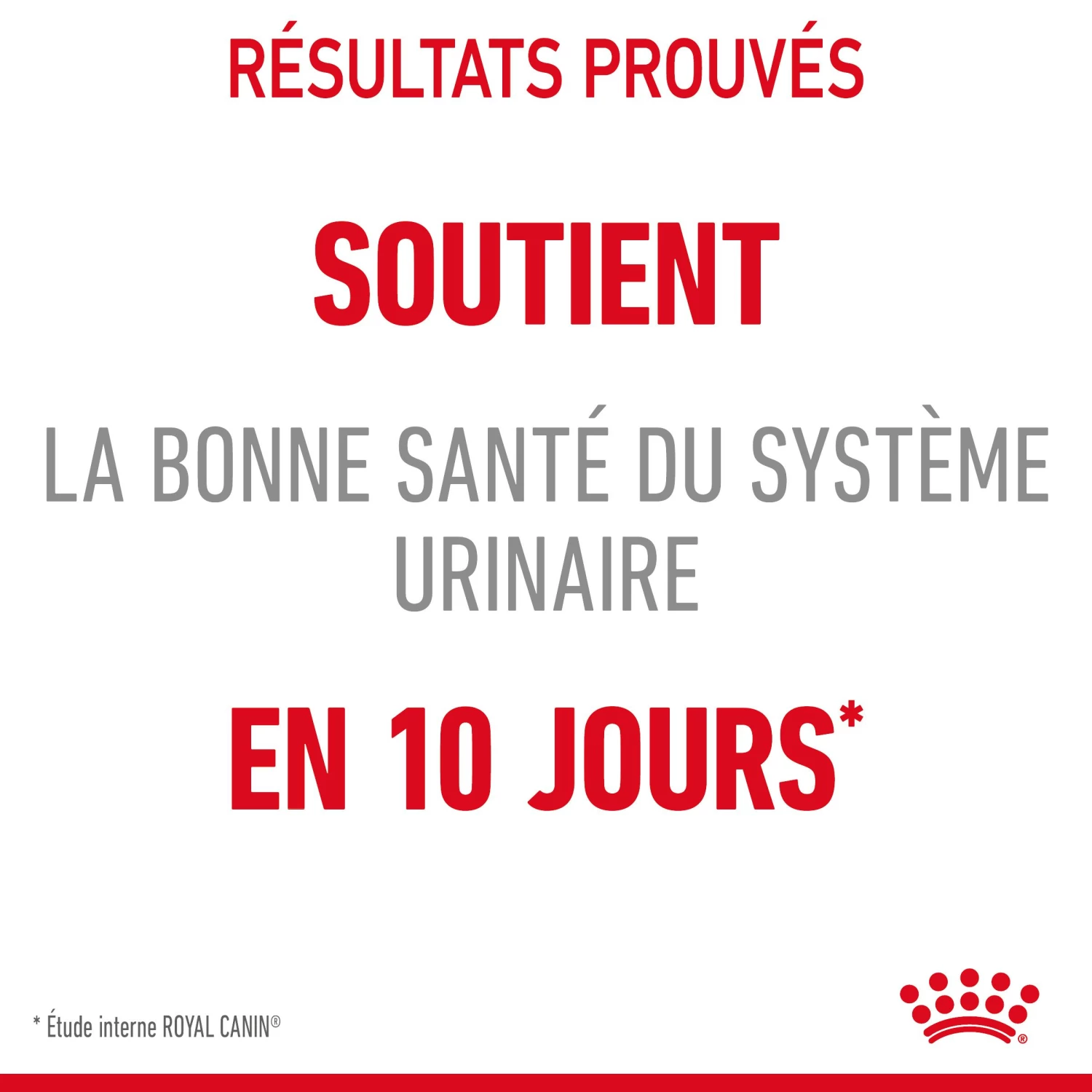 Royal Canin Urinary Care En Sauce Pour Chat 12 Sachets De 85g 16 Royal Canin Urinary Care En Sauce Pour Chat 12 Sachets De 85g – Image 14