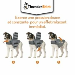 Body Anti Stress Thundershirt -Promos VetoStore Boutique Thundershirt 7 FR