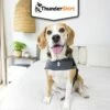 Body Anti Stress Thundershirt