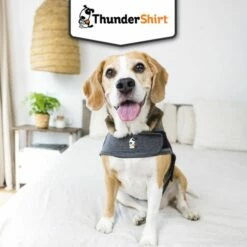 Body Anti Stress Thundershirt