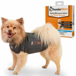 Body Anti Stress Thundershirt -Promos VetoStore Boutique Thundershirt XS