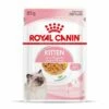 Royal Canin Chaton - Gelée 12x85g
