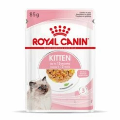 Royal Canin Chaton - Gelée 12x85g