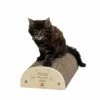 Griffoir J'habite Chez Mon Chat 2 Griffoir J'habite Chez Mon Chat -Promos VetoStore Boutique a5524b37cbabdaa013390a8e07c9ca4cdcfcb98379bcea2237fc23f13f57605a