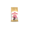 Royal Canin Maine Coon Chaton Pour Chat 10kg