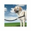 PetSafe Harnais Easy Walk 1 PetSafe Harnais Easy Walk -Promos VetoStore Boutique a876970862c3f01f57d89476e18ddd734eb7e9b1176c32c107ced93f1e0d45b3