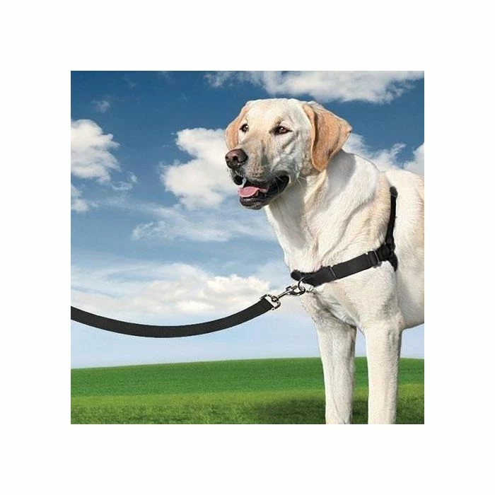 PetSafe Harnais Easy Walk 3 PetSafe Harnais Easy Walk