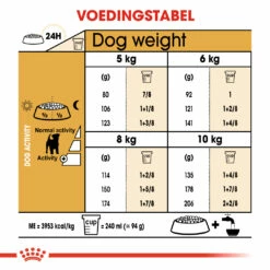 Royal Canin Jack Russell Adult Pour Chien 7,5kg -Promos VetoStore Boutique ad90d20e8be659a05b8d6ea3d9c84a4959dbd6443649feb4970eb79fc6868336 2