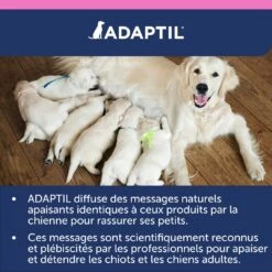 Adaptil Junior Collier (46,5cm) -Promos VetoStore Boutique adaptil collier junior 6 FR