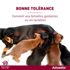 Advantix Chien Moyen 10-25Kg -Promos VetoStore Boutique advantix bonne tol rance
