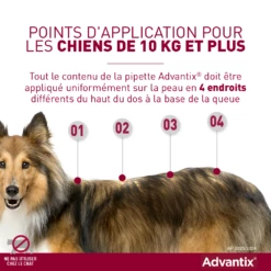 Advantix Chien Moyen 10-25Kg -Promos VetoStore Boutique advantix point d application grands chiens