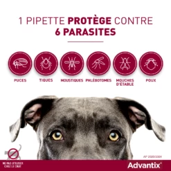 Advantix Chien Moyen 10-25Kg -Promos VetoStore Boutique advantix spectre de protection 1