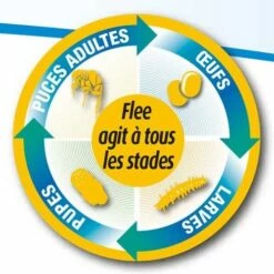 Flee Aerosol 400ml -Promos VetoStore Boutique aerosol flee 400 ml 2