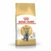 Royal Canin British Shorthair Pour Chat 4kg 1 Royal Canin British Shorthair Pour Chat 4kg -Promos VetoStore Boutique afc19574b28a648079ac9c534146bd06d85f42ca56dfc77351cff66cf53fdce9