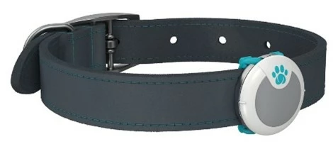 Animo Tracker D'activités 6 Animo Tracker D'activités – Image 4