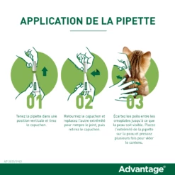 Advantage 40 Chat Et Lapin De 1 à 4 Kg 12 Advantage 40 Chat Et Lapin De 1 à 4 Kg -Promos VetoStore Boutique application de la pipette advantage 1