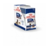 Royal Canin Maxi Ageing 8+ Pour Chien 10 X 140g