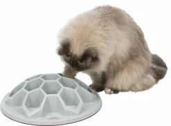Trixie Jeu Pour ChatSnack Hive XXL Ø 35 Cm -Promos VetoStore Boutique b6e3cce409f40e966271fa2105510ff9da786b6efde0970d26d539691d01c24e