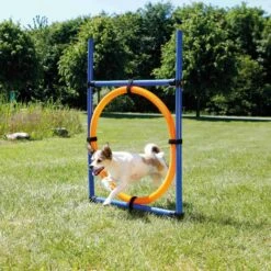 Trixie Fun Agility Anneau -Promos VetoStore Boutique b79a4466414a4da2954e391c8207a65bb94e1716621690dc570aa14f387fe2a5
