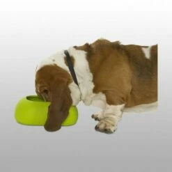 Buster Gamelle Incredibowl 9 Buster Gamelle Incredibowl -Promos VetoStore Boutique b7db7eb0627be48e1161fb24e8121baeec2f2b6161bf624f19777e80bde9c2c9