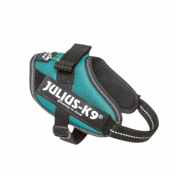 Julius K9 Harnais Julius IDC Power-K9 Bleu Pétrole 3 Julius K9 Harnais Julius IDC Power-K9 Bleu Pétrole