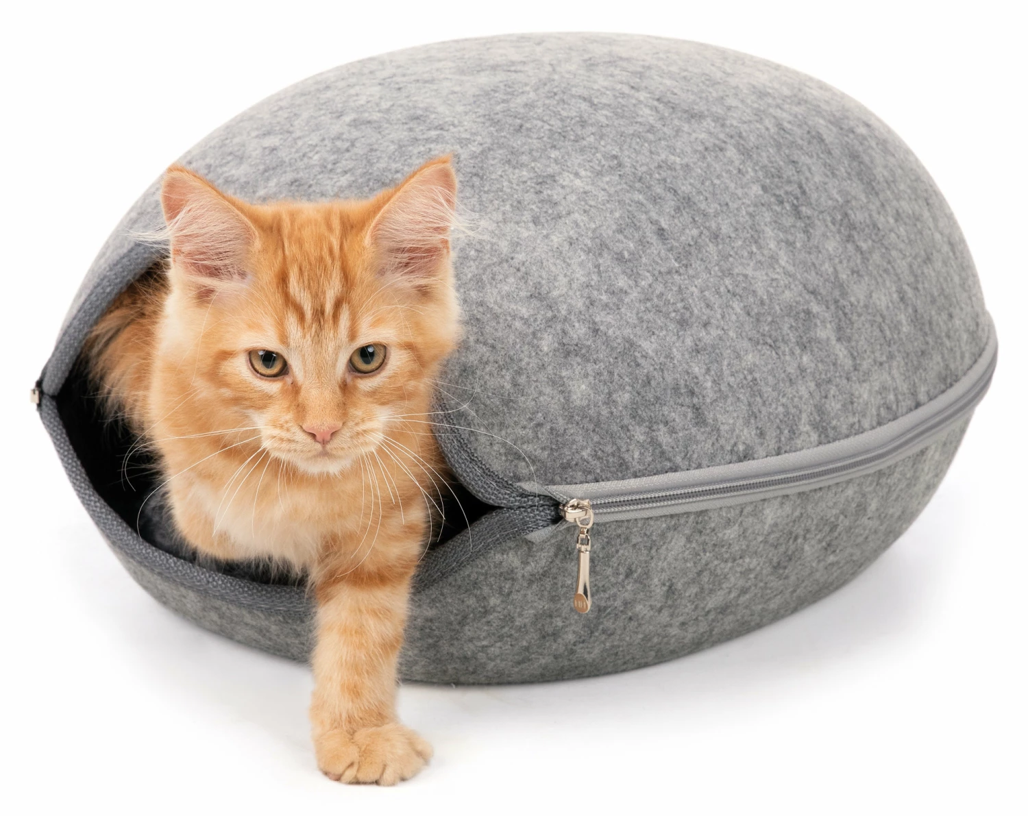 Trixie Abri Luna En Feutre 40 × 24 × 46 Cm 5 Trixie Abri Luna En Feutre 40 × 24 × 46 Cm – Image 3