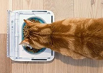 Sureflap Bol Hermétique Surefeed 4 Sureflap Bol Hermétique Surefeed – Image 2