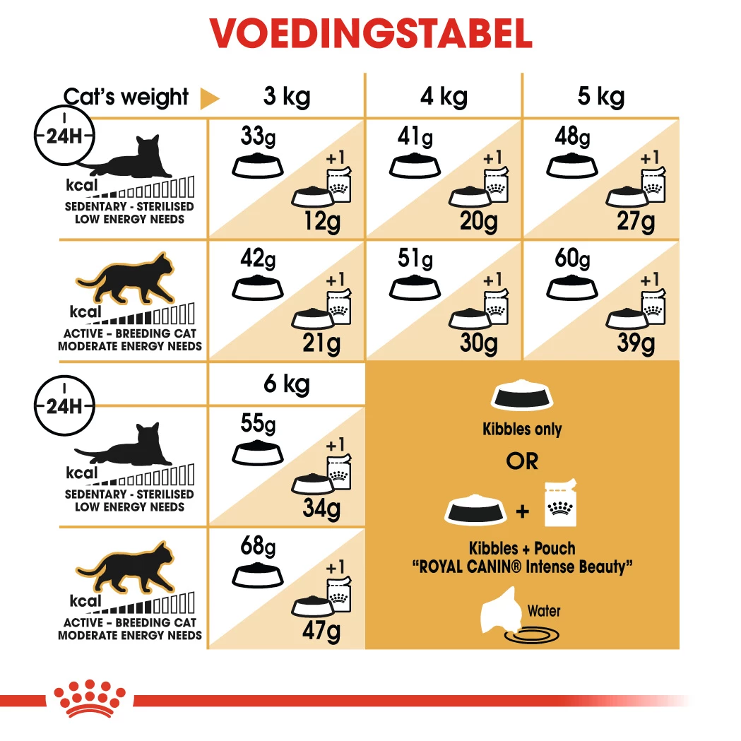 Royal Canin Siamese 38 Pour Chat 4kg 4 Royal Canin Siamese 38 Pour Chat 4kg – Image 2