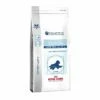 ROYAL CANIN PEDIATRIC STARTER LARGE DOG - 14 Kg
