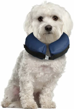 Flamingo Collier Gonflable Pour Chiens Gofi S -Promos VetoStore Boutique c76564a084433e164fdda469521c2f8b95e5c504b608d8280deab069721e7d8e