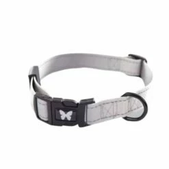 Collier Et Laisse Reflex Gris