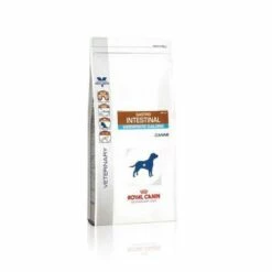 Royal Canin Gastro Intestinal Moderate Calorie Chien -Promos VetoStore Boutique c96be46b08946a606f224303102df65abfaed4d03ddb9e5c7287ed64f3014855