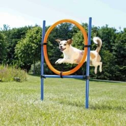 Trixie Fun Agility Anneau -Promos VetoStore Boutique cad8bc371e5482bac9a79dc43148760ac719992c4d78f9f0bddaf49c87e3169a