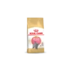 Royal Canin Britisch Shorthair Chatton 10kg -Promos VetoStore Boutique cb38a4424dd378b65a2236b5077b5517f32992d83fc734e96c0ae6a642b79c0b