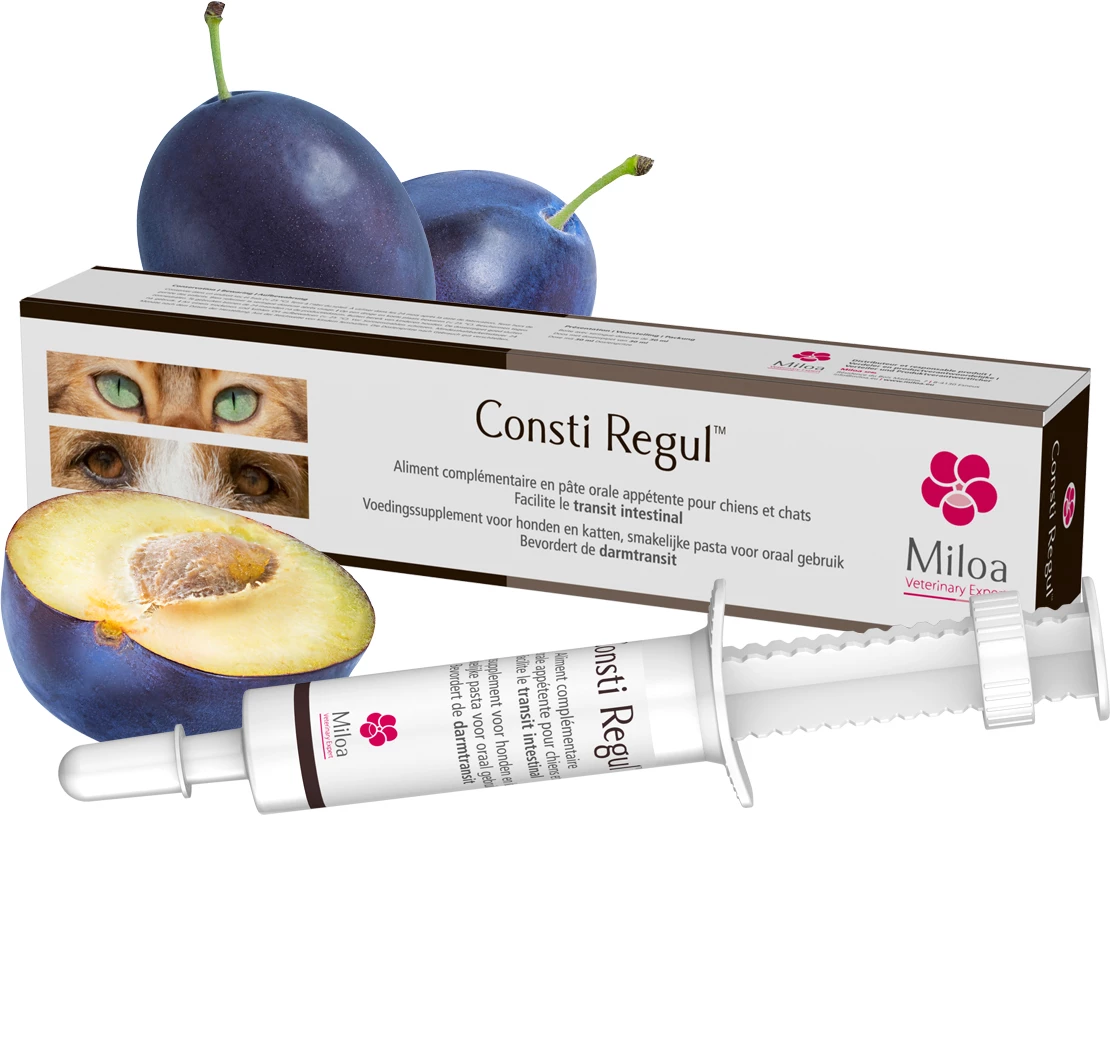 Consti Regul 30ml 4 Consti Regul 30ml – Image 2