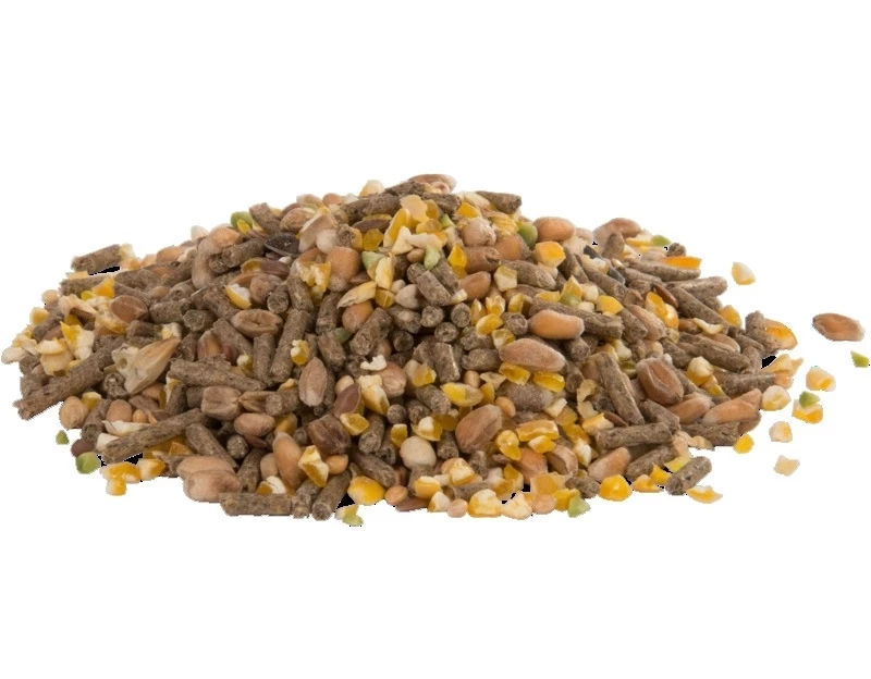 VERSELE-LAGA Country's Best Gold 4 Mini Mix - 5 Kg 4 VERSELE-LAGA Country's Best Gold 4 Mini Mix - 5 Kg – Image 2