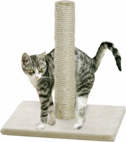 Flamingo Griffoir Polset Large Beige 38x38x59cm 9 Flamingo Griffoir Polset Large Beige 38x38x59cm -Promos VetoStore Boutique dc31a8231d1af443a732436dc07ae658f11a7e51a4baff8cf8e6656eaf301c83 1