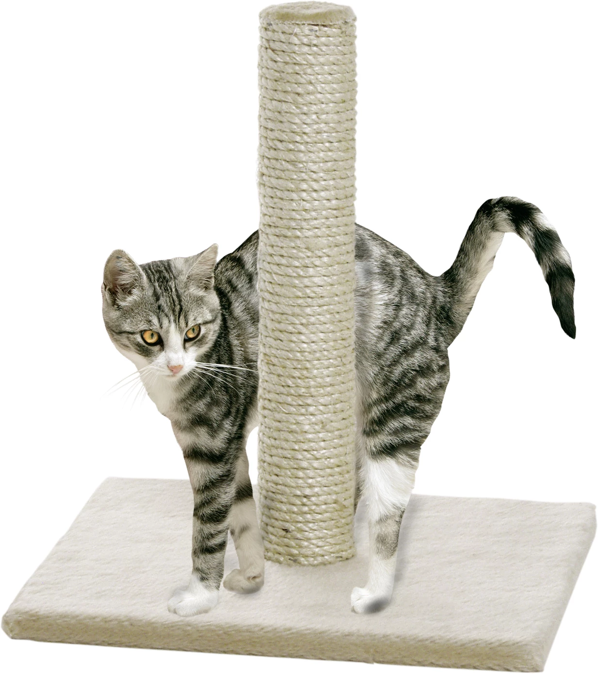 Flamingo Griffoir Polset Large Beige 38x38x59cm 6 Flamingo Griffoir Polset Large Beige 38x38x59cm – Image 4