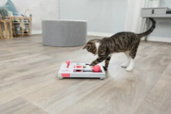 Trixie Jeu De Stratégie Pour Chat Brain Mover 25 X 20 Cm -Promos VetoStore Boutique dfebe8af37cf4cf9840626b20e514759747511f72fec25bb1c3ab243e5fae317