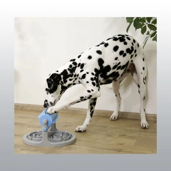 Distributeur Anti-Glouton 4 Distributeur Anti-Glouton – Image 2