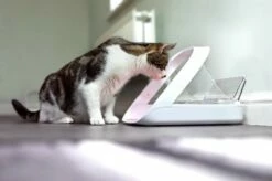 Sureflap Distributeur De Nourriture Connect Surefeed -Promos VetoStore Boutique distributeur de nourriture connect surefeed 9