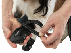 Trixie Chaussures De Protection Walker Active / XS-S 2pcs. -Promos VetoStore Boutique e08062450bd8a32b408258fb4c31ff7f7447657b0f4f3fa1ecca0f8550d45313 1