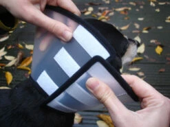 Flamingo Carcan Capo 31,5cm -Promos VetoStore Boutique e2578f0de7dfac1a438fa05f0c616aa46fff5514395f242304922963edc56053