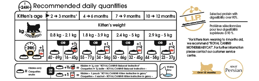 Royal Canin Chaton Persan 2kg 4 Royal Canin Chaton Persan 2kg – Image 2